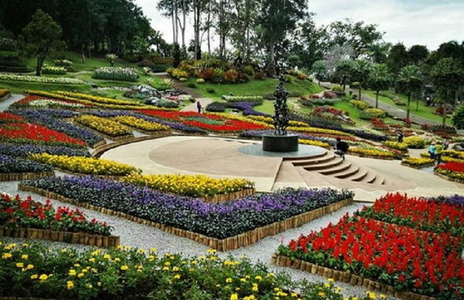 Ganztägige Doi Tung und Goldenes Dreieck Exkursion - Foto 3